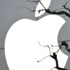 Apple yeni bir rekora imza attı