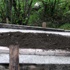 Şafak Yayla'nın mezarına beton döküldü