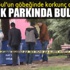 Fatih'te bir parkta başından vurulmuş ceset bulundu