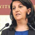 HDP'den 'kapatma' tepkisi: Saray darbe yapıyor