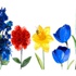 İlkbahar Ekinoksu nedir? | Google'dan nevruz doodle'ı İlkbahar Ekinoksu nedir? | Google'dan nevruz doodle'ı