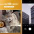 Redmi, 64MP kameralı telefonundan çekilen ilk fotoğrafı paylaştı