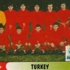 Türkiye'nin Avrupa futbol şampiyonası maceraları