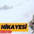 Van'daki çığ faciasına damga vurmuştu! İşte Türkiye'yi ağlatan fotoğrafın hikayesi