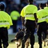 Maçta futbolcuyu köpek ısırdı Maçta futbolcuyu köpek ısırdı