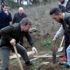 Ağaç dikip cezadan kurtuldular Ağaç dikip cezadan kurtuldular
