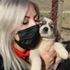 Konyalı kuaför evlatlarım dediği sokak köpeklerine sahip çıktı. Açtığı barınakta 350 köpeğe bakıyor