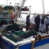İzmir'de sahte fatura operasyonu İzmir'de sahte fatura operasyonu