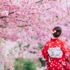 Sakura Japonca ne demek? Çam ve Sakura Hastanesi'nde adı geçen Sakura nedir? Sakura Japonca ne demek? Çam ve Sakura Hastanesi'nde adı geçen Sakura nedir?