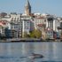 Vahşi hayvanlar, koronavirüs günlerinde daha sessiz bir dünyanın keyfini çıkarıyor