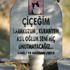 ﻿Evcil hayvan mezarlığında duygulandıran yazılar