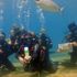 Fethiye’de dalgıçlar deniz dibinde bayramlaştı