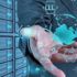 Herkesin hayatını değiştirecek sistem: Blockchain Herkesin hayatını değiştirecek sistem: Blockchain