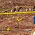 Polis memurunu boş arazide ensesinden vurdular Polis memurunu boş arazide ensesinden vurdular