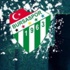 Bursaspor'dan sürpriz karar... Hamzaoğlu olmadı Bursaspor'dan sürpriz karar... Hamzaoğlu olmadı
