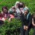 İkizdere'deki gençler, mücadelede kararlı olduklarını dile getirdi İkizdere'deki gençler, mücadelede kararlı olduklarını dile getirdi