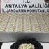 Sahte dolar operasyonu: 5 gözaltı