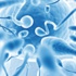 Deriden sperm kısırlığa umut
