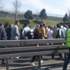 Metrobüs yolunda kaza