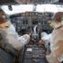 THY'den Dünya Pilotlar Günü'ne özel anlamlı video