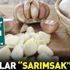 Kefir sarımsak mutluluğu bağırsak | Bağırsaklara ne iyi gelir?