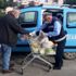 Buca da ihtiyaç sahiplerine ve 65 yaş üstüne yardım ... Buca da ihtiyaç sahiplerine ve 65 yaş üstüne yardım ...