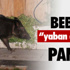 Şirketler İletilerle Siyasi Propaganda Yapamayacak Şirketler İletilerle Siyasi Propaganda Yapamayacak