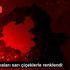 Iğdır ın ovaları sarı çiçeklerle renklendi Iğdır ın ovaları sarı çiçeklerle renklendi