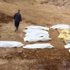 Musul'da toplu mezarlar bulundu