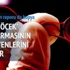 Böcek raporu ABD'den kopya Böcek raporu ABD'den kopya