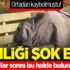 Ortadan kaybolmuştu! Yıllar sonra bu halde bulundu Ortadan kaybolmuştu! Yıllar sonra bu halde bulundu