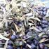 "Topraktan halka zeytin yağı" bu yıl da sofralarda "Topraktan halka zeytin yağı" bu yıl da sofralarda