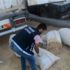 Saman dolu çuvallardan uyuşturucu çıktı Saman dolu çuvallardan uyuşturucu çıktı