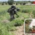 Diyarbakır’da 10 bin personelle operasyon