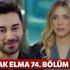 Yasak Elma 74. bölüm full tek parça izle (Yasak Elma son bölüm izle! )