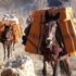 Hakkari'de yük hayvanı üzerinde 42 bin 525 av fişeği ele geçirildi Hakkari'de yük hayvanı üzerinde 42 bin 525 av fişeği ele geçirildi