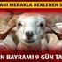 2019 Kurban Bayramı tatili kaç gün olacak? Kurban Bayramı ne zaman, hangi günler idrak edilecek?