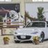 Mazda Jinba Ittai Cup 2019 bu hafta sonu başlıyor Mazda Jinba Ittai Cup 2019 bu hafta sonu başlıyor