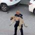 Yaralı köpeği kucağında veterinere götüren polise teşekkür belgesi Yaralı köpeği kucağında veterinere götüren polise teşekkür belgesi