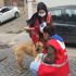 Kısıtlamada yiyecek bulmakta güçlük çeken sokak hayvanlarının yardımına Kızılay gönüllüleri koştu Kısıtlamada yiyecek bulmakta güçlük çeken sokak hayvanlarının yardımına Kızılay gönüllüleri koştu