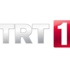TRT 1 izle, 11 Mayıs Çarşamba yayın akışı: Diriliş Ertuğrul son bölüm (TRT canlı izle)