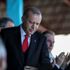 Başkan Erdoğan, Yeni Zelanda'daki şehit ailelerine seslendi