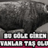 Çok tartışılan dizi yayından kaldırıldı!