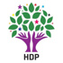 HDP, seçimin iptali için başvuru yaptı