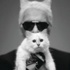 Lagerfeld’in kedisine Bardot’dan mektup var