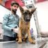 Şiddete maruz kalan yavru köpek İtalya yolcusu Şiddete maruz kalan yavru köpek İtalya yolcusu