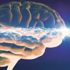 Alzheimer'a çözüm aranıyor