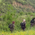 PKK'nın hedefi Karadeniz