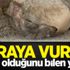 Karaya vurdu! Ne olduğunu bilen yok Karaya vurdu! Ne olduğunu bilen yok