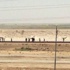 Irak ordusu Ramadi'yi geri almak için operasyon başlattı